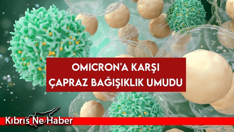 Omicron'a karşı çapraz bağışıklık umudu