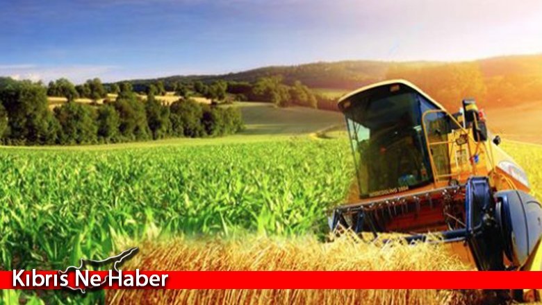 Tarım Bakanlığı’ndan gelir desteği duyurusu