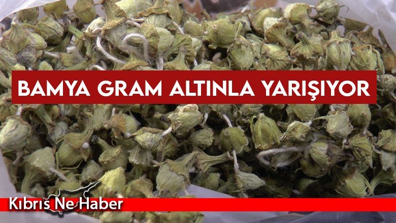 Bamya gram altınla yarışıyor