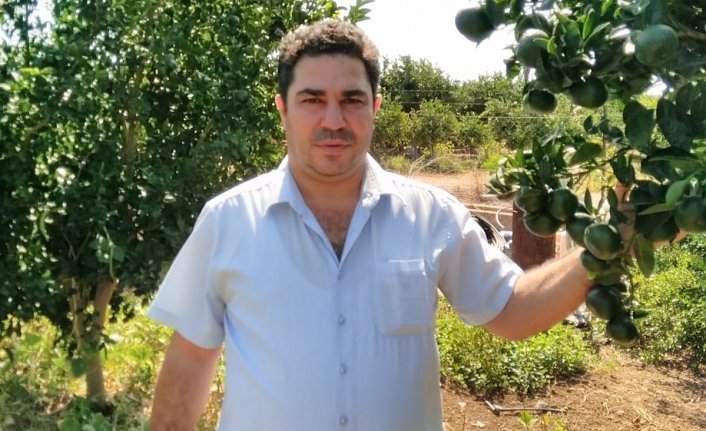 Narenciyeciler yarın Güzelyurt’ta sokağa iniyor