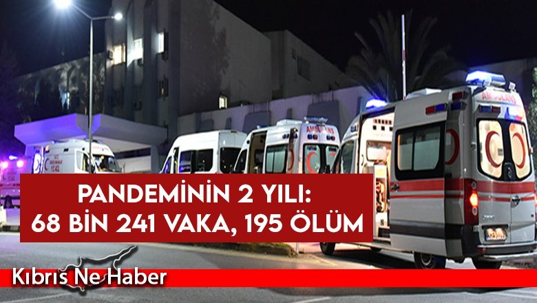Pandeminin 2 yılı: 68 bin 241 vaka, 195 ölüm