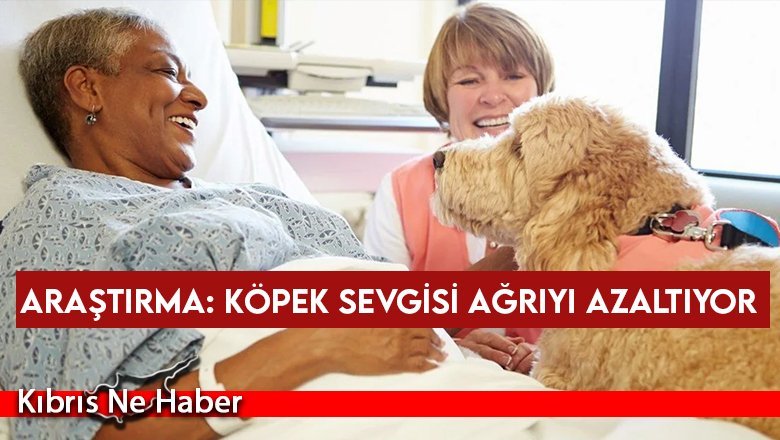 Araştırma: Köpek sevgisi ağrıyı azaltıyor