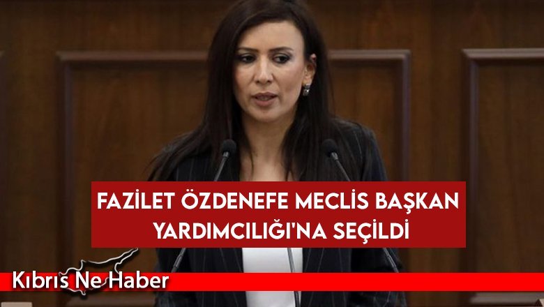 Özdenefe, Meclis Başkan Yardımcılığı'na seçildi