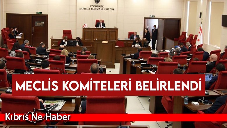 Meclis Komiteleri belirlendi