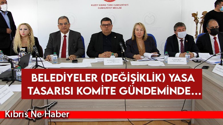 Cumhuriyet Meclisi İdari, Kamu ve Sağlık İşleri Komitesi Toplandı