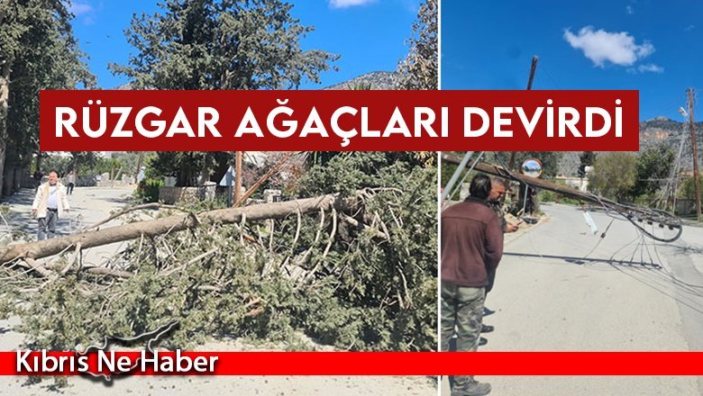 Rüzgar ağaçları devirdi