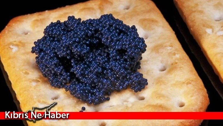 Bilim insanları yapay havyar üretti