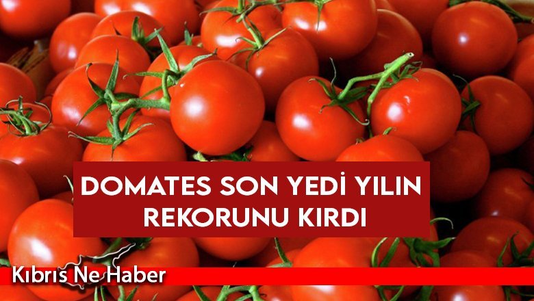 Domates son yedi yılın rekorunu kırdı