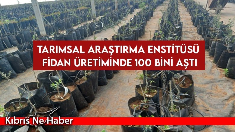 Tarımsal Araştırma Enstitüsü fidan üretiminde 100 bini aştı