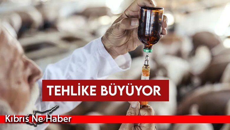 Antibiyotiklere dirençli süper bakterinin insanlara geçmesi an meselesi