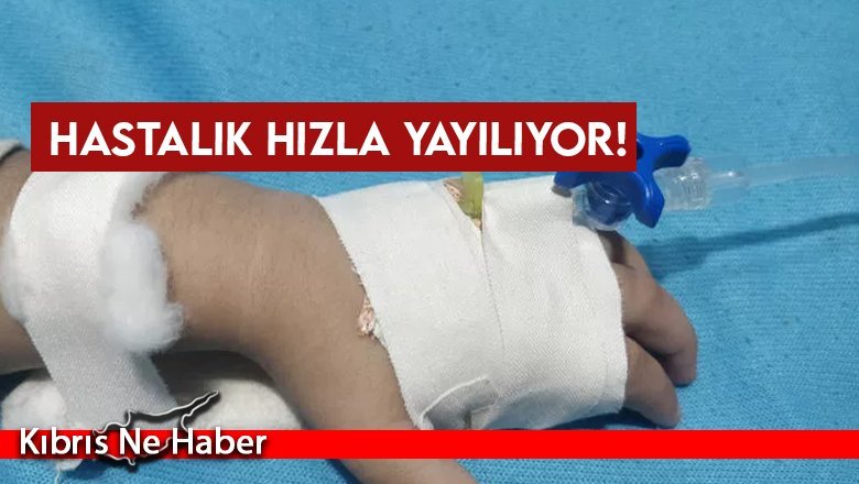 Yeni panik...Hastalık yayılıyor!