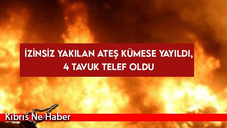 Yaktığı ateş kümese sıçradı!