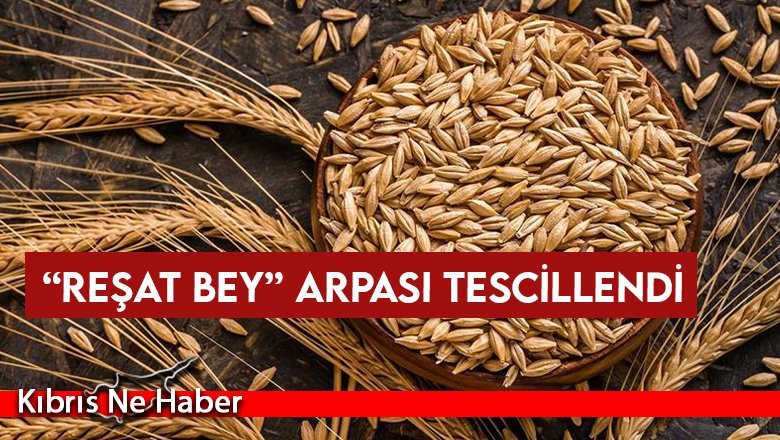 “Reşat Bey” arpası tescillendi