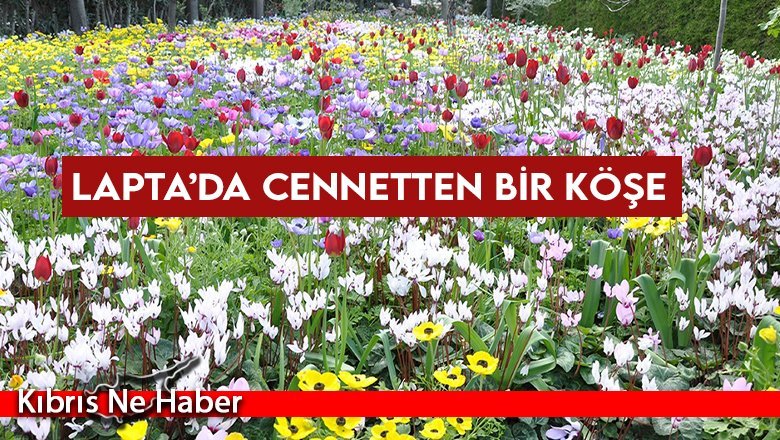 İşte Hikmet Uluçam’ın eşsiz botanik bahçesi...