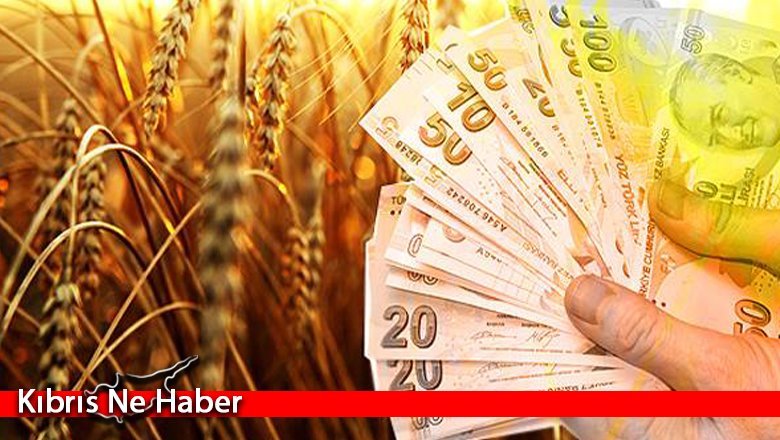 Arpa alım fiyatları açıklandı!
