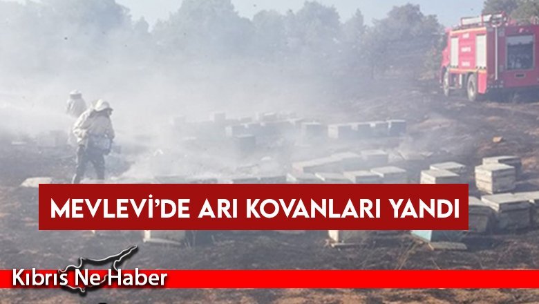 Mevlevi’de arı kovanları yandı