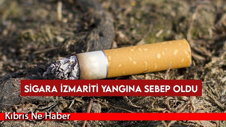 Sigara izmariti yangına sebep oldu: 500 saksı çiçek kül oldu!