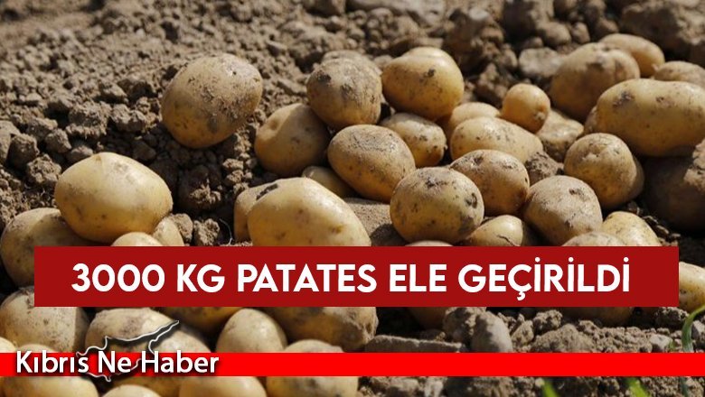 3000 kg Patates Ele Geçirildi