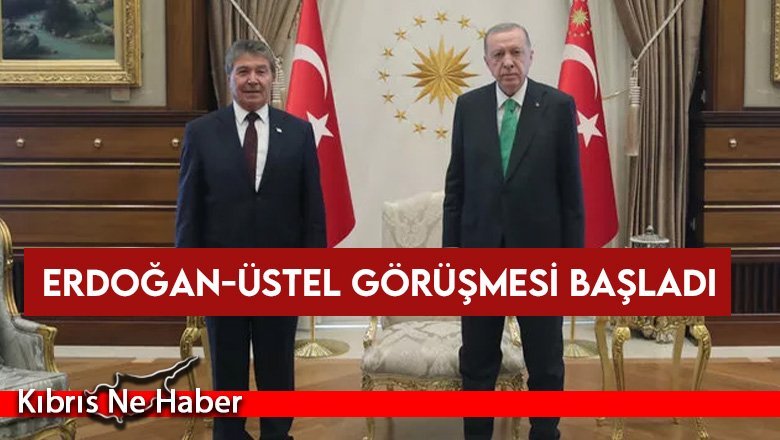 Erdoğan Üstel'i kabul etti