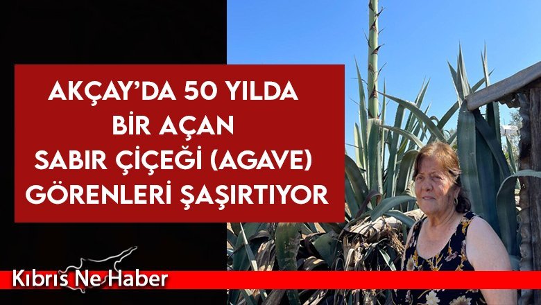 UNESCO Dünya Mirası Listesi'nde