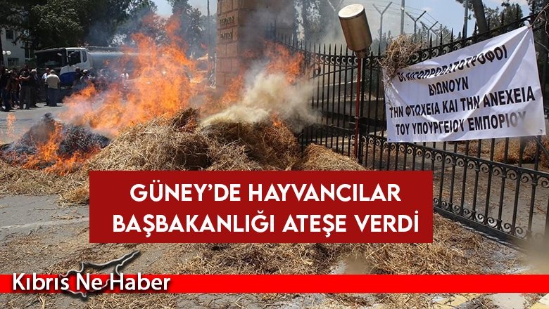 Güney Kıbrıs'ta hayvancılar isyanda