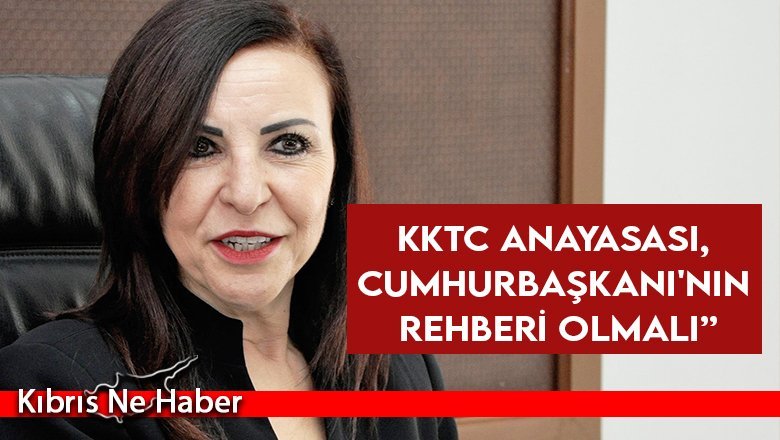 Emine Dizdarlı: Cumhurbaşkanı bağımsız hareket eder