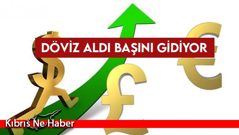 Döviz aldı başını gidiyor