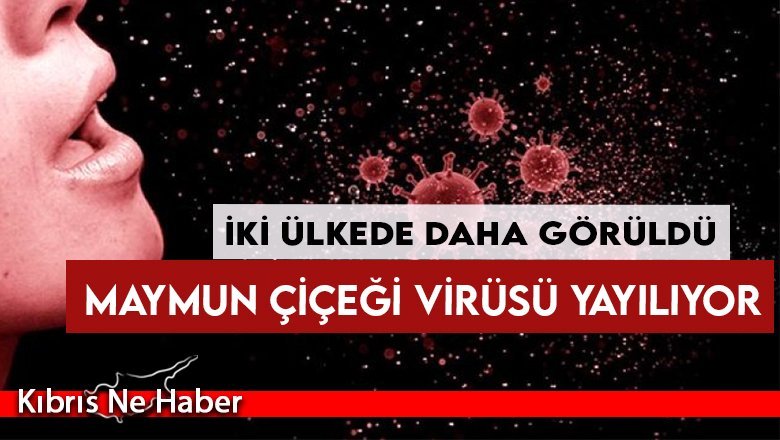 İki ülkede daha görüldü: Maymun çiçeği virüsü yayılıyor
