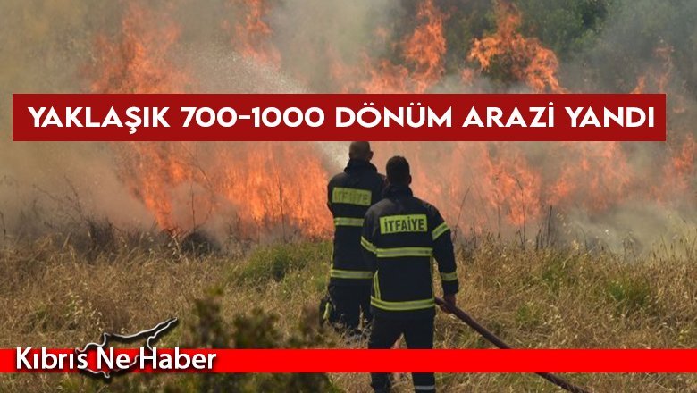 Yaklaşık 700-1000 dönüm arazi yandı