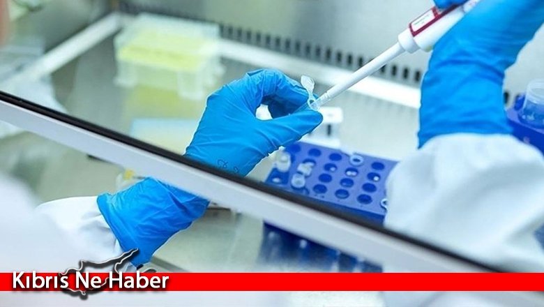 Gizemli hepatit vakaları: “Evcil hayvanlardan bulaşmış olma ihtimali” araştırılıyor