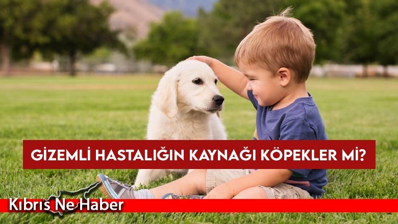 Gizemli hastalığın kaynağı köpekler mi?