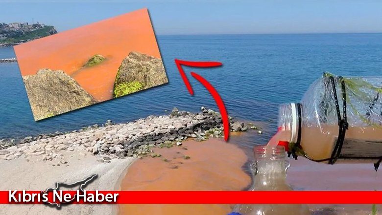 Karadeniz'in rengi korkuttu: İlk defa böyle bir şey gördük