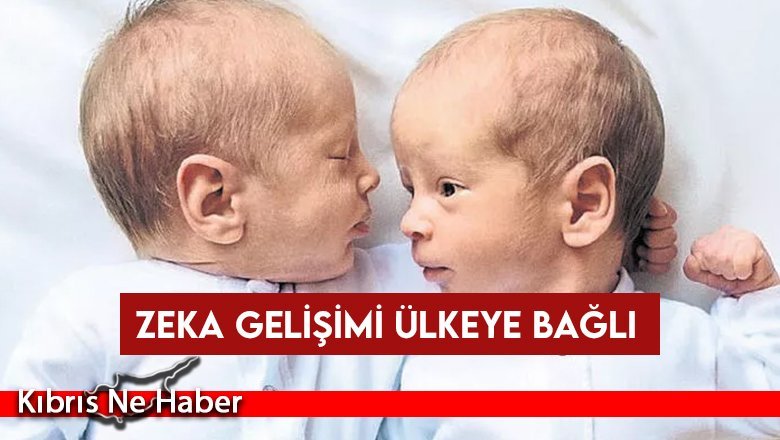 Zeka gelişimi ülkeye bağlı