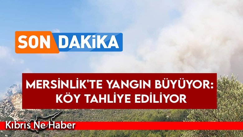 Mersinlik Bölgesindeki Yangın Yeniden Şiddetini Artırdı