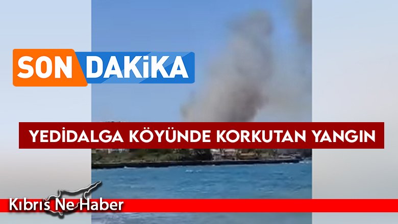 Yedidalga köyünde korkutan yangın