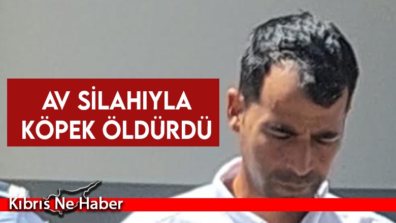 Av tüfeğiyle köpek öldürmekten tutuklandı