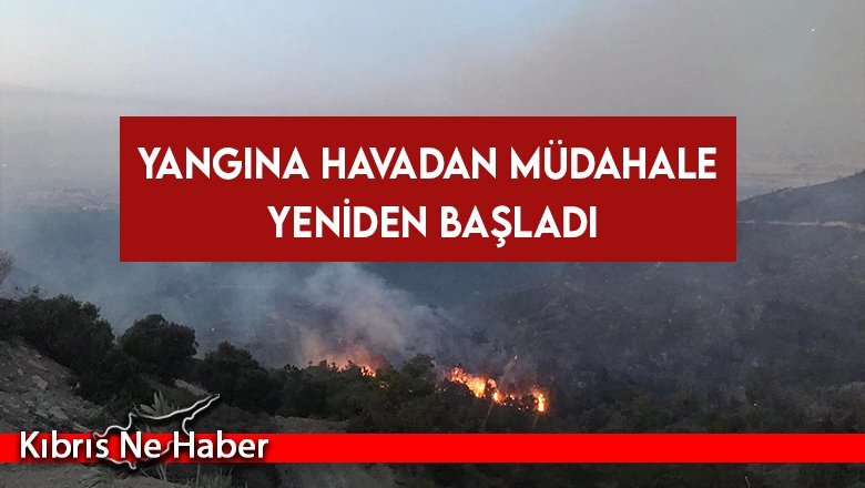 Yangına havadan müdahale yeniden başladı