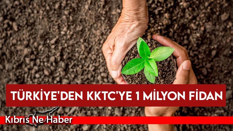Türkiye'den KKTC'ye 1 Milyon Fidan