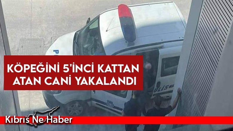 Köpeğini 5'inci kattan atan cani yakalandı