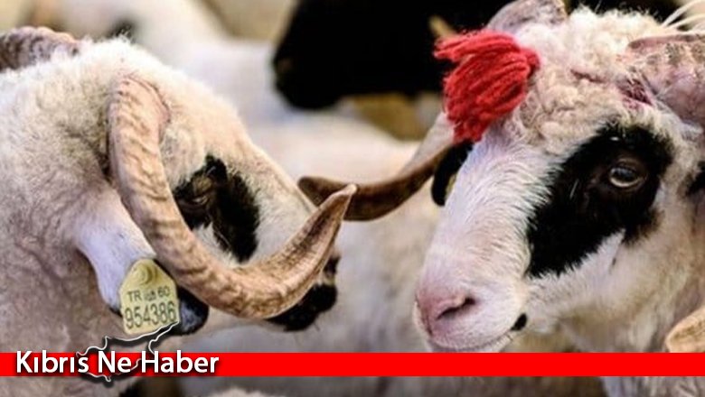 Kurban Bayramı yarın başlıyor