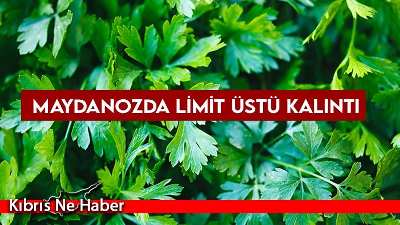 Maydanozda limit üstü kalıntı