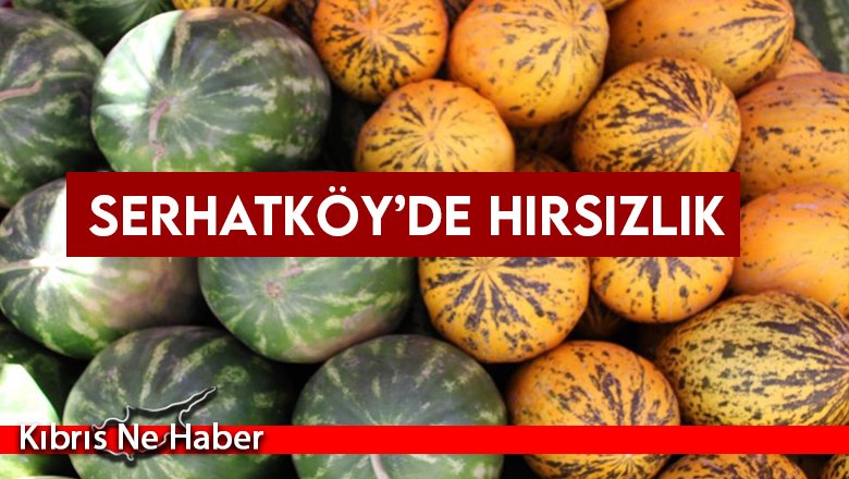 Karpuz ve kavunları çaldı
