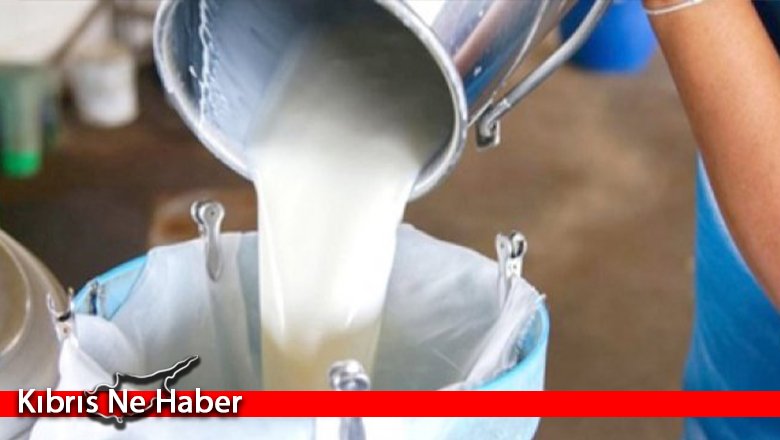 Süt Borsası 1 Ağustos'a ertelendi