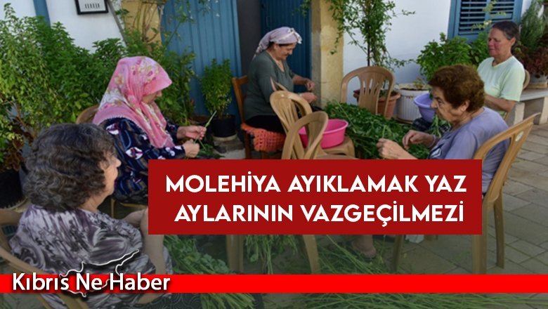 Molehiya ayıklamak yaz aylarının vazgeçilmezi