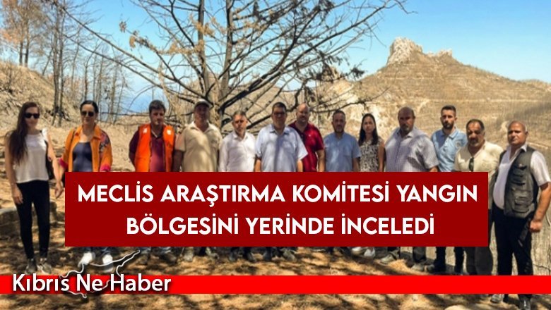 Meclis Araştırma Komitesi yangın bölgesini yerinde inceledi