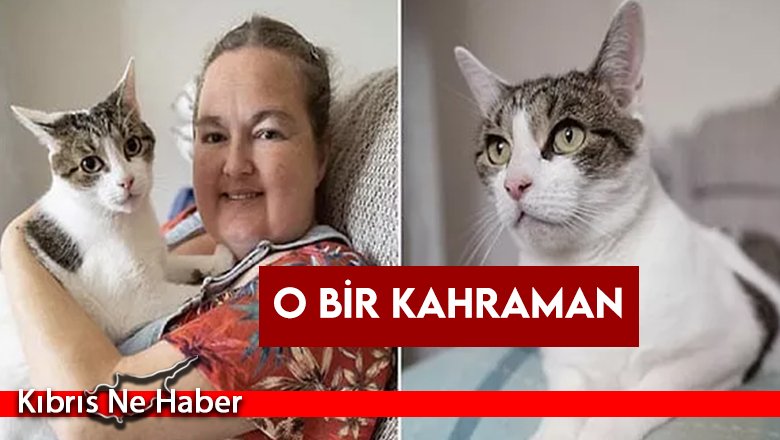 Kalp krizi geçiren kadını kedisi kurtardı
