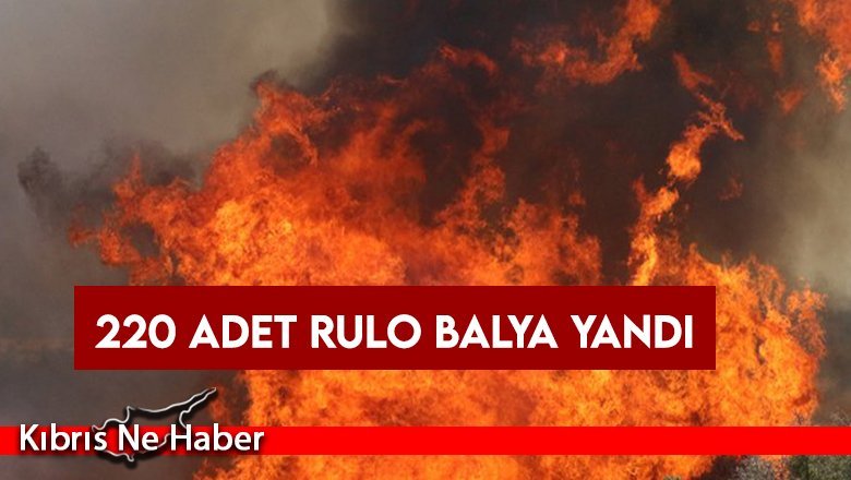 220 Adet Balya Yandı...