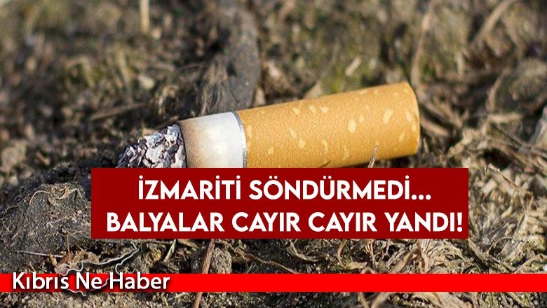 Sigara izmariti yangın çıkardı