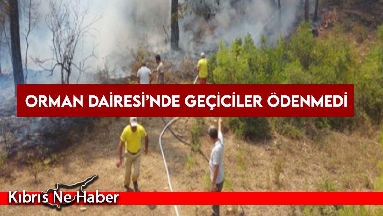 Orman Dairesi’nde geçiciler ödenmedi