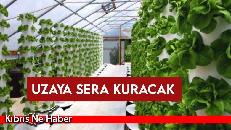 Uzaya sera kuracak